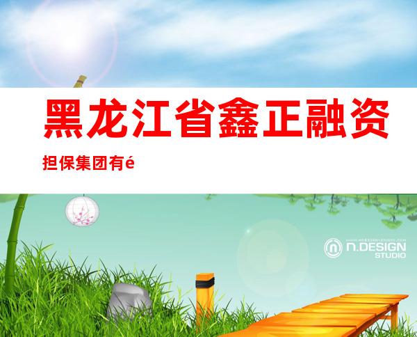 黑龙江省鑫正融资担保集团有限公司
